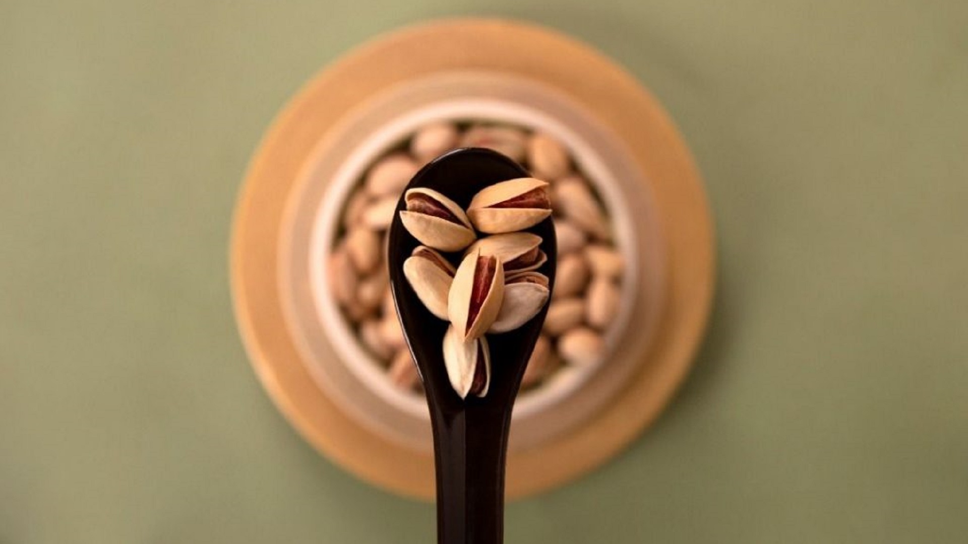 ARANIK quality review for pistachio and food ingredients